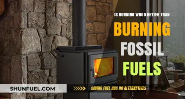 Wood Burning: Better than Fossil Fuels?