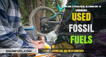 Butane: A Practical Fossil Fuel Alternative?