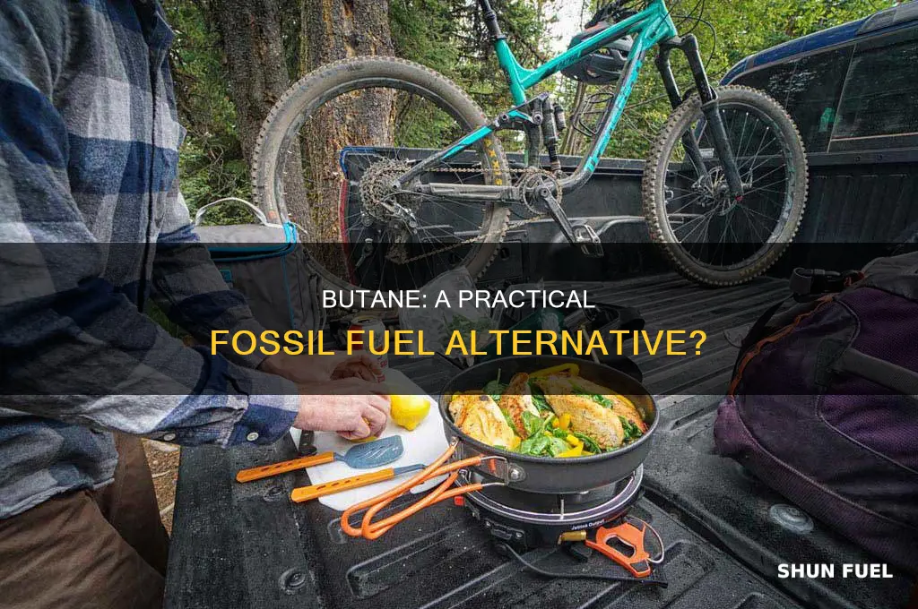 is butane a practical alternative to commonly used fossil fuels