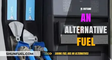Exploring Butane as a Sustainable Alternative Fuel Option