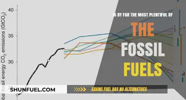 The Abundance of Fossil Fuels: A Finite Resource