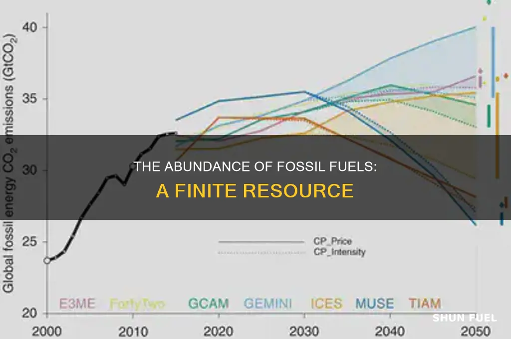 is by far the most plentiful of the fossil fuels