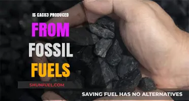 How Fossil Fuels Produce Calcium Carbonate