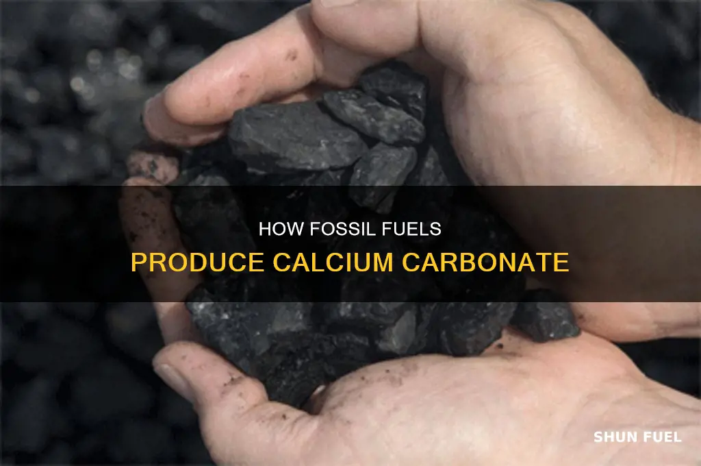 is caco3 produced from fossil fuels