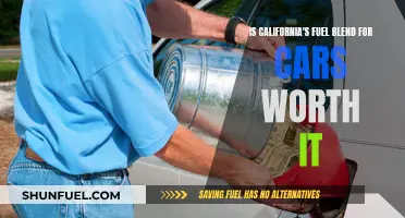 California's Unique Fuel Blend: Worth the Cost?