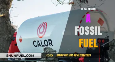 Calor Gas: Fossil Fuel or Not?