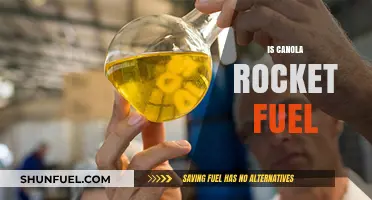 Canola Oil as Rocket Fuel: Fact or Fiction Explained