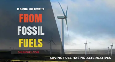 Capital One's Fossil Fuel Divestment: What's the Status?