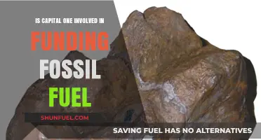 Capital One's Fossil Fuel Funding: A Troubling Relationship