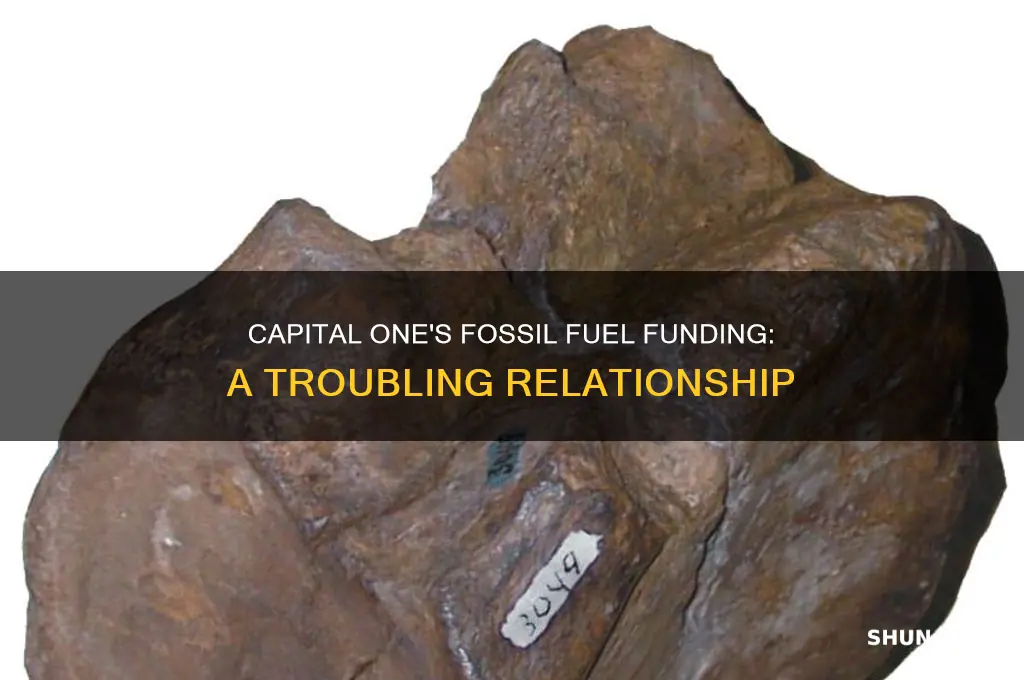 is capital one involved in funding fossil fuel