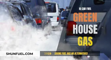 Car Fuel: Green House Gas Culprit?