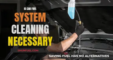 Car Fuel System Cleaning: Necessary Maintenance or Unnecessary Expense?
