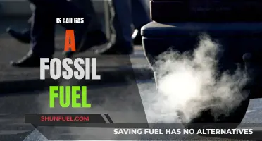 The Truth About Car Gas: Fossil Fuel or Not?