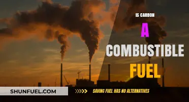Is Carbon a Combustible Fuel? Exploring Its Energy Potential