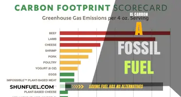 Carbon and Fossil Fuels: What's the Connection?