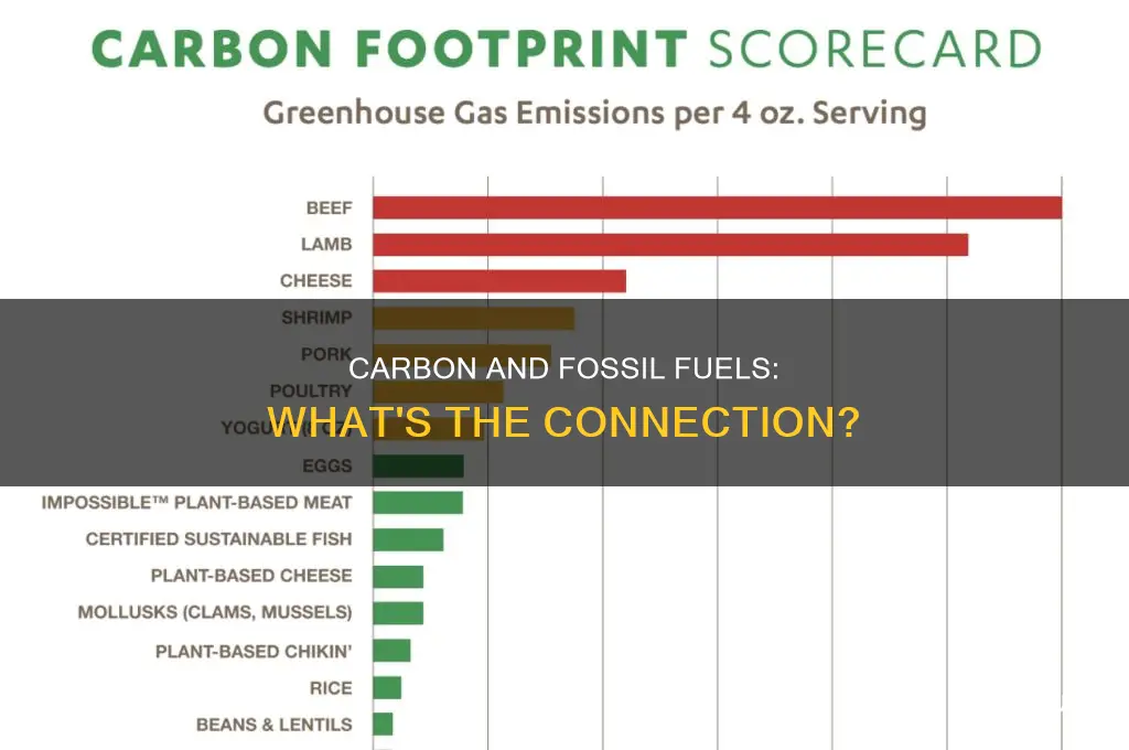 is carbon a fossil fuel