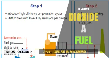 Can Carbon Dioxide Be Used as a Sustainable Fuel Source?