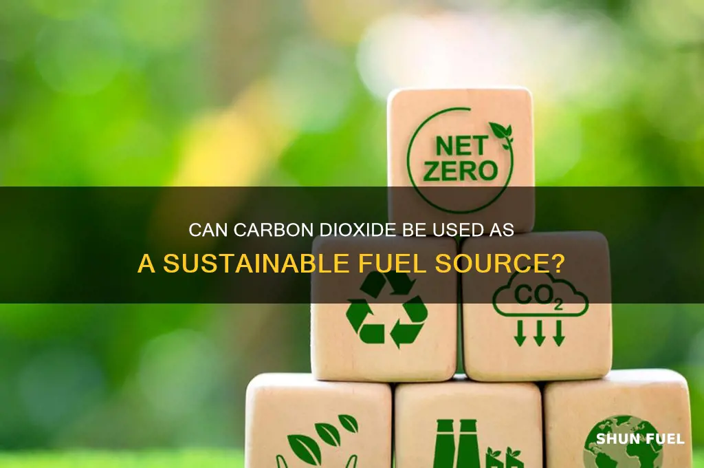 is carbon dioxide a fuel