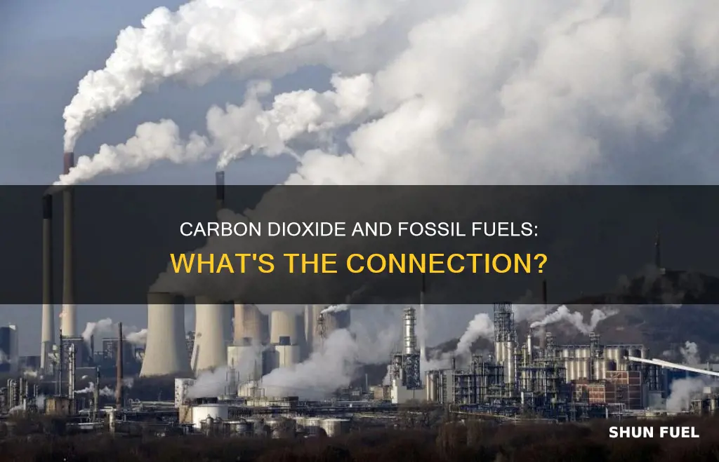 is carbon dioxide a type of fossil fuel