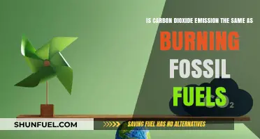 Carbon Emissions: Are Fossil Fuels the Main Culprit?