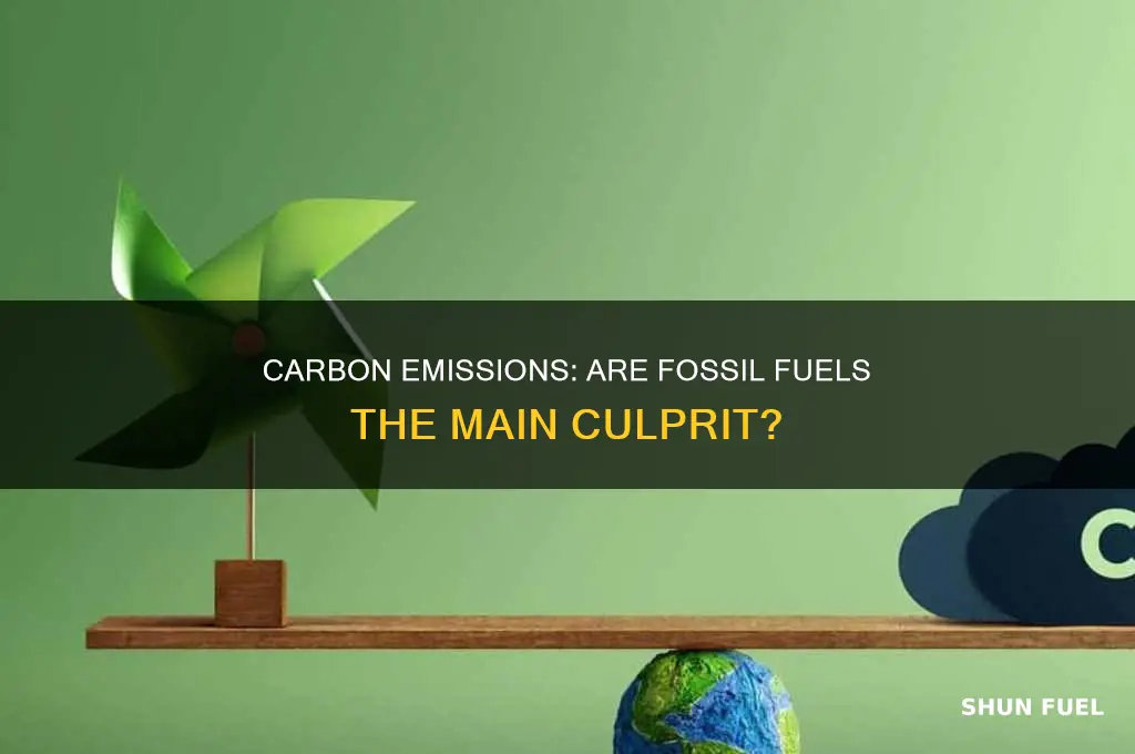 is carbon dioxide emission the same as burning fossil fuels