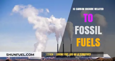Carbon Dioxide and Fossil Fuels: What's the Link?