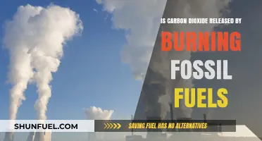 How Fossil Fuels Release Carbon Dioxide?