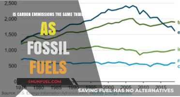 Carbon Emissions vs Fossil Fuels: What's the Difference?