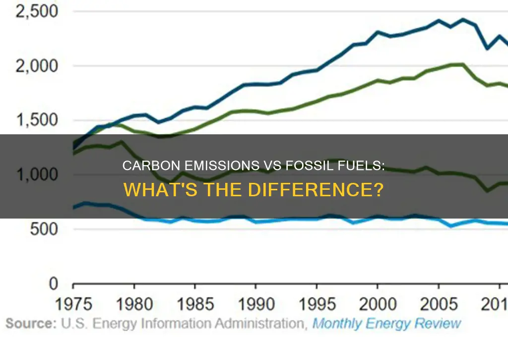 is carbon emmissions the same thing as fossil fuels