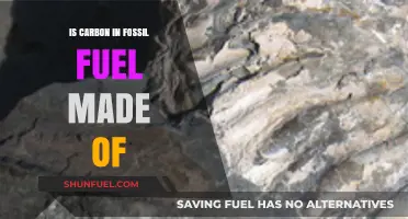 The Carbon in Fossil Fuels: What's It Made Of?