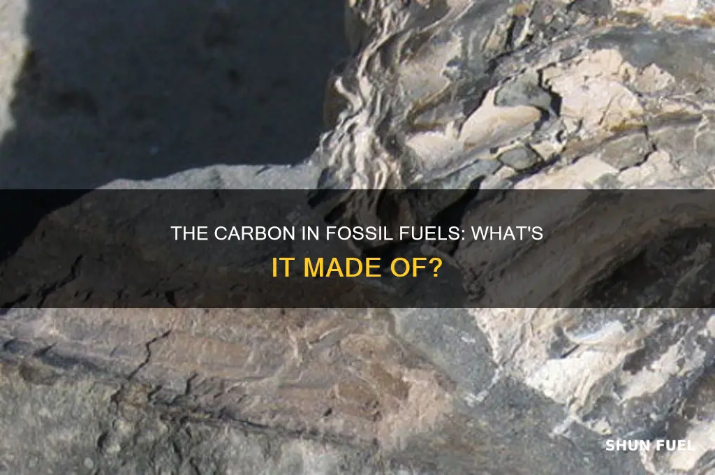 is carbon in fossil fuel made of
