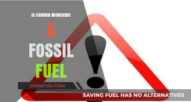 Carbon Monoxide: Fossil Fuel's Dangerous Side Effect
