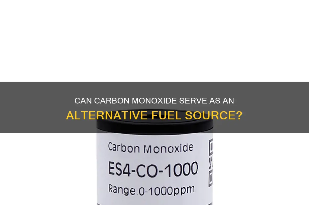 is carbon monoxide a fuel