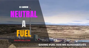 Is Carbon Neutral Fuel the Future of Sustainable Energy?