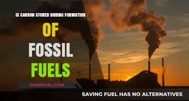 How Fossil Fuels Store Ancient Carbon