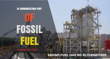 Carbonization: Fossil Fuel's Dark Transformation