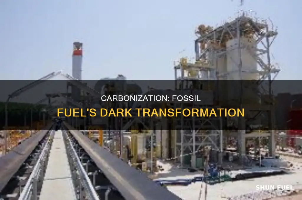 is carbonization part of fossil fuel