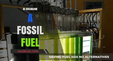 Cellulose: A Renewable Energy Source, Not Fossil Fuel