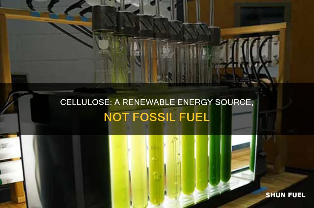 is cellulose a fossil fuel