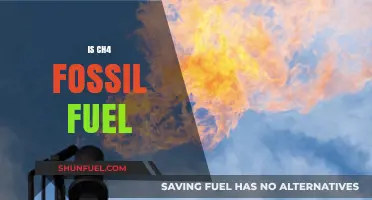 Fossil Fuel Methane: Is CH4 a Fossil Fuel?