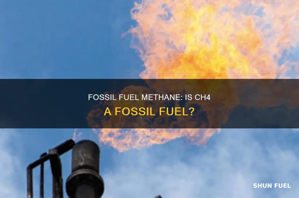 is ch4 fossil fuel