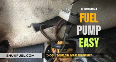 Fuel Pump Replacement: Easy DIY or Best Left to Pros?