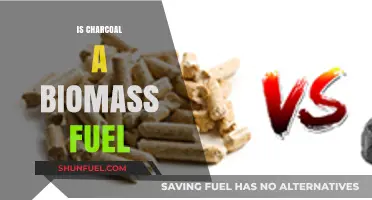 Is Charcoal a Biomass Fuel? Exploring Its Renewable Energy Potential