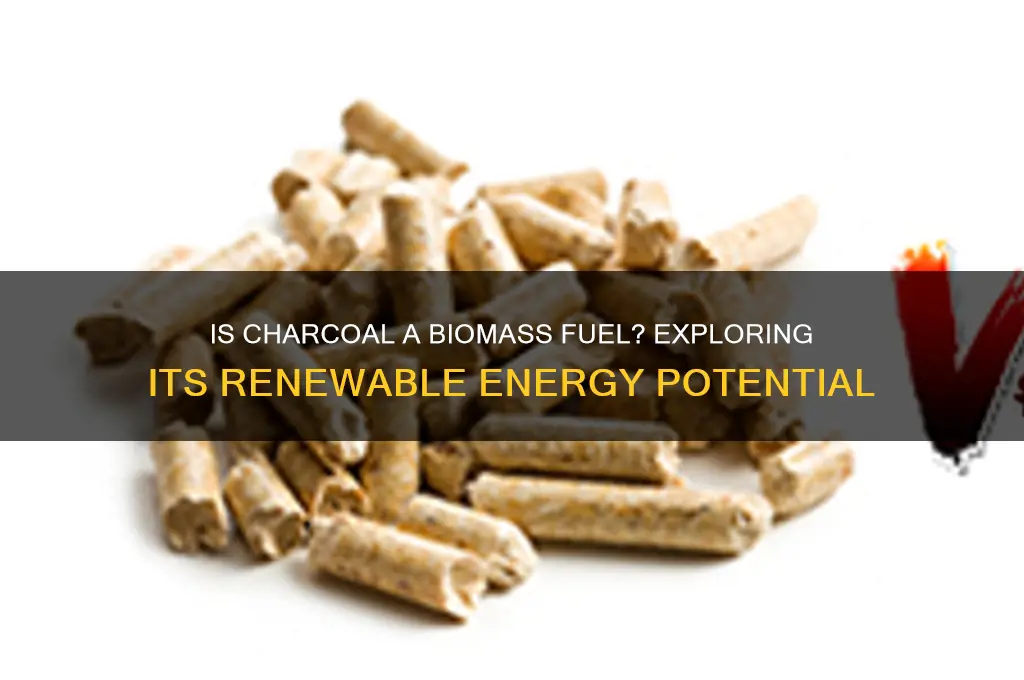 is charcoal a biomass fuel
