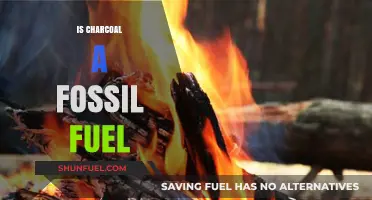 Charcoal: Fossil Fuel or Not?