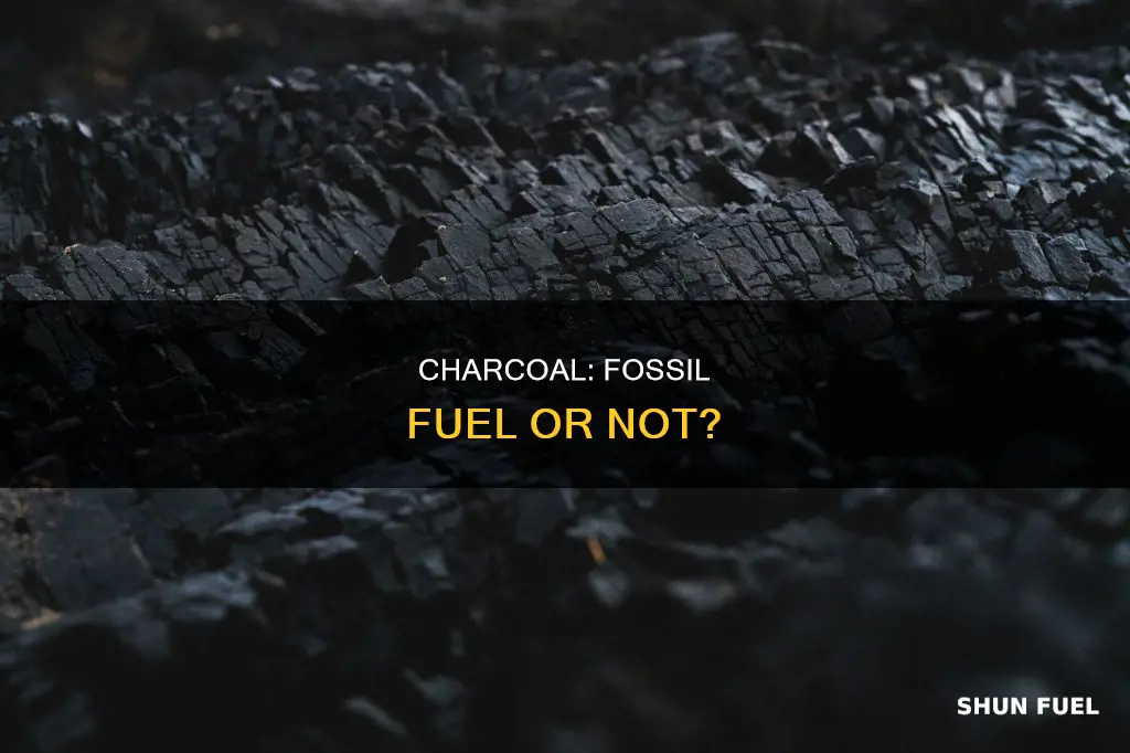 is charcoal a fossil fuel