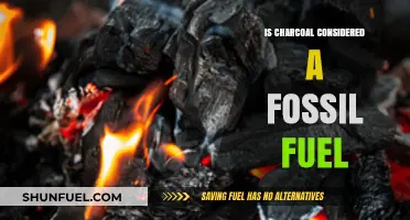 Charcoal: Fossil Fuel or Not?