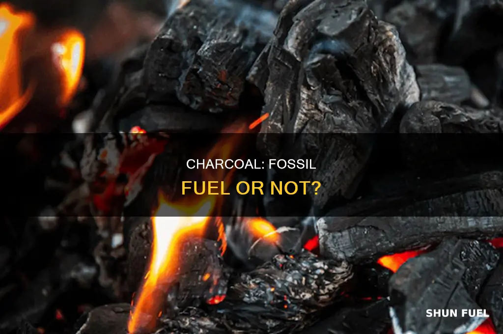 is charcoal considered a fossil fuel