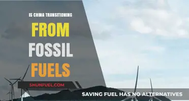 China's Energy Evolution: Beyond Fossil Fuels