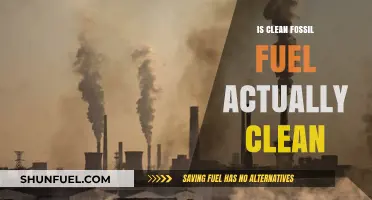 The Myth of Clean Fossil Fuel
